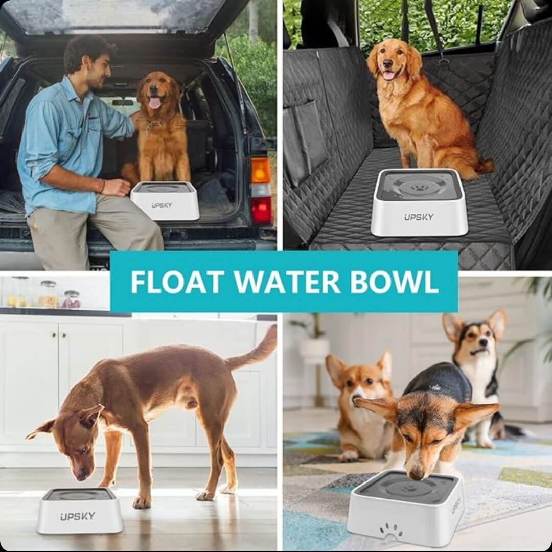 Els™: Higiene y Comodidad en Cada Sorbo para tu Mascota