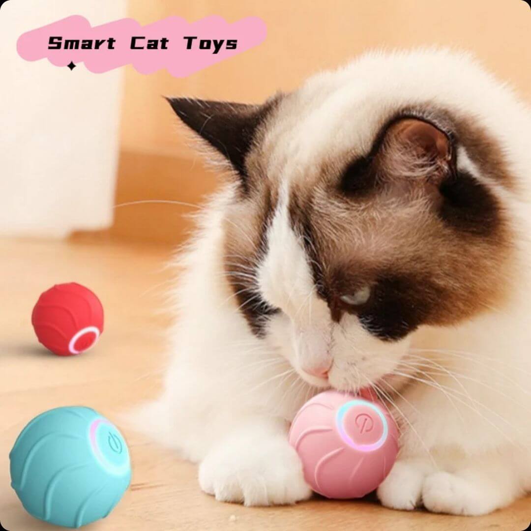 Bola Inteligente: Rueda por todas partes y divierte a tu gato