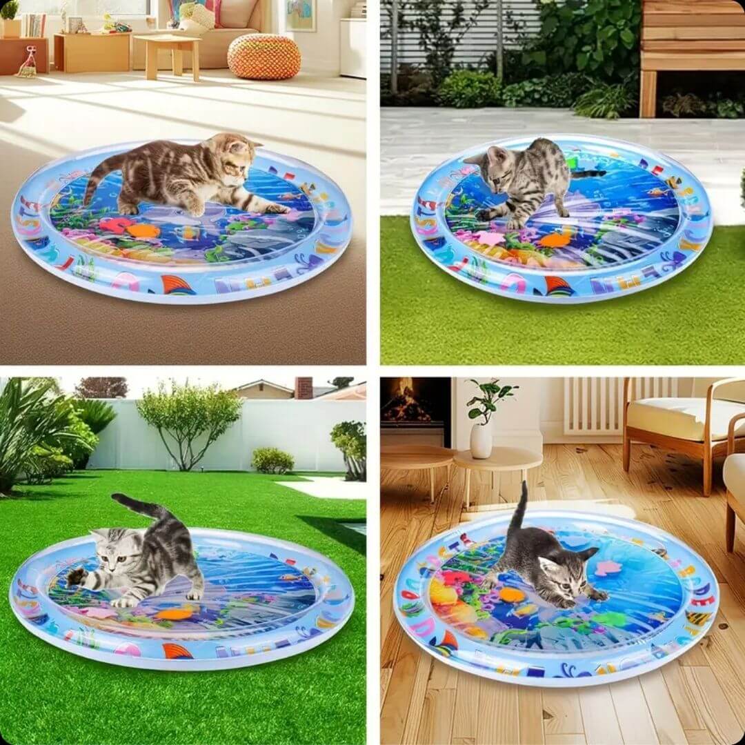 CatSplash Play Mat™ - Tapete 2 en 1: Diversión y descanso en uno 🎁