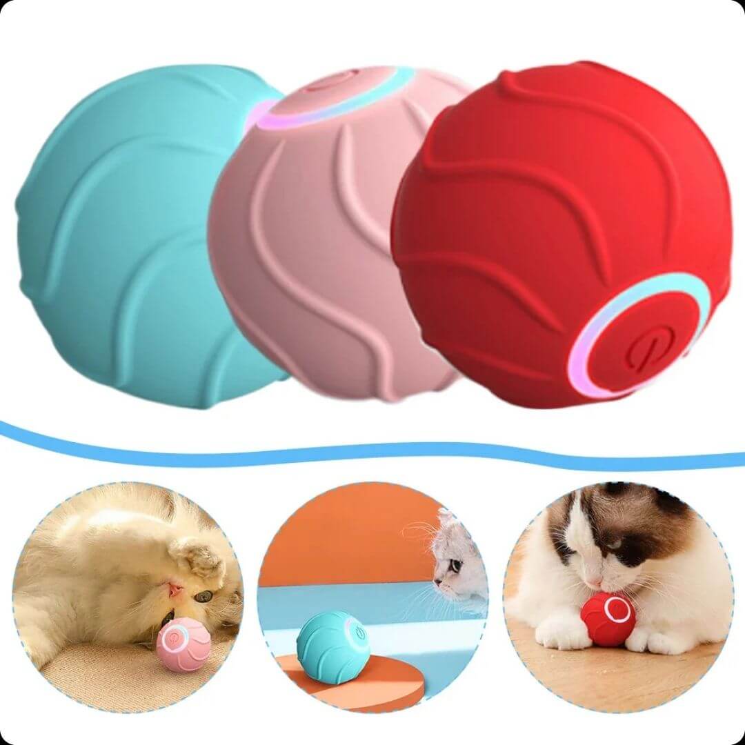 Bola Inteligente: Rueda por todas partes y divierte a tu gato