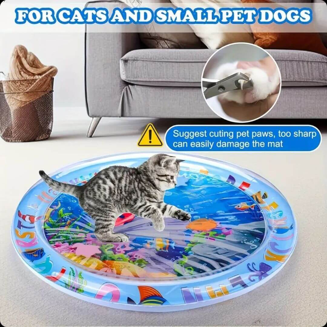 CatSplash Play Mat™ - Tapete 2 en 1: Diversión y descanso en uno 🎁