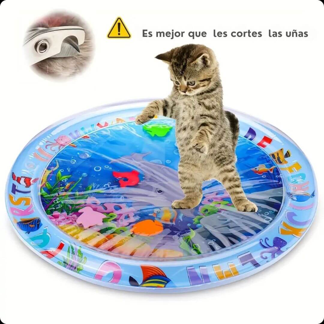CatSplash Play Mat™ - Tapete 2 en 1: Diversión y descanso en uno 🎁