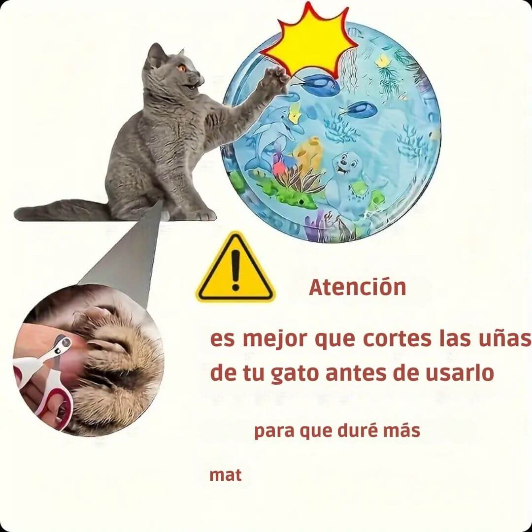 CatSplash Play Mat™ - Tapete 2 en 1: Diversión y descanso en uno 🎁
