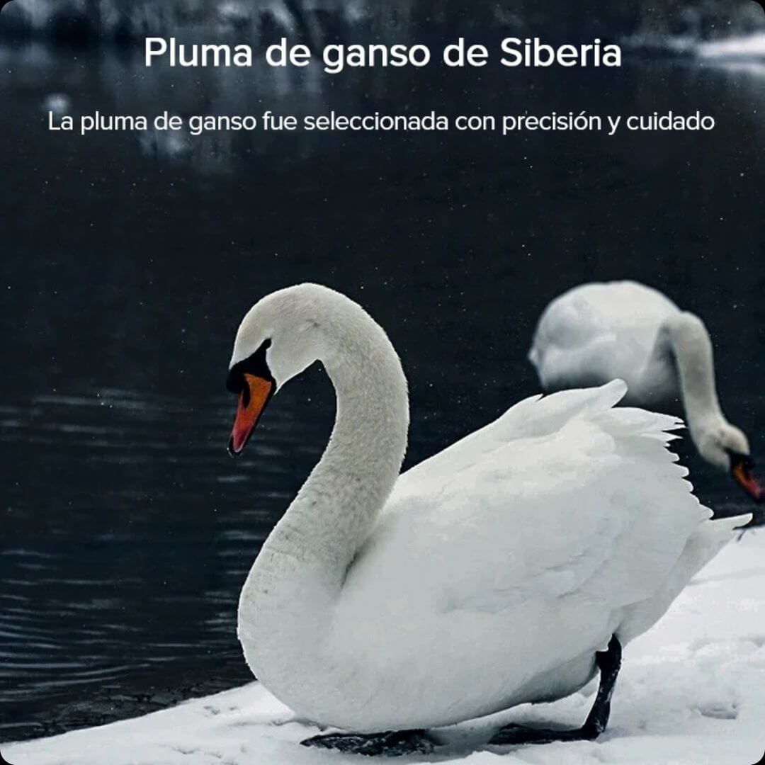 💖Diseño integrado de zona cómoda para dormir almohada de plumas de ganso💖