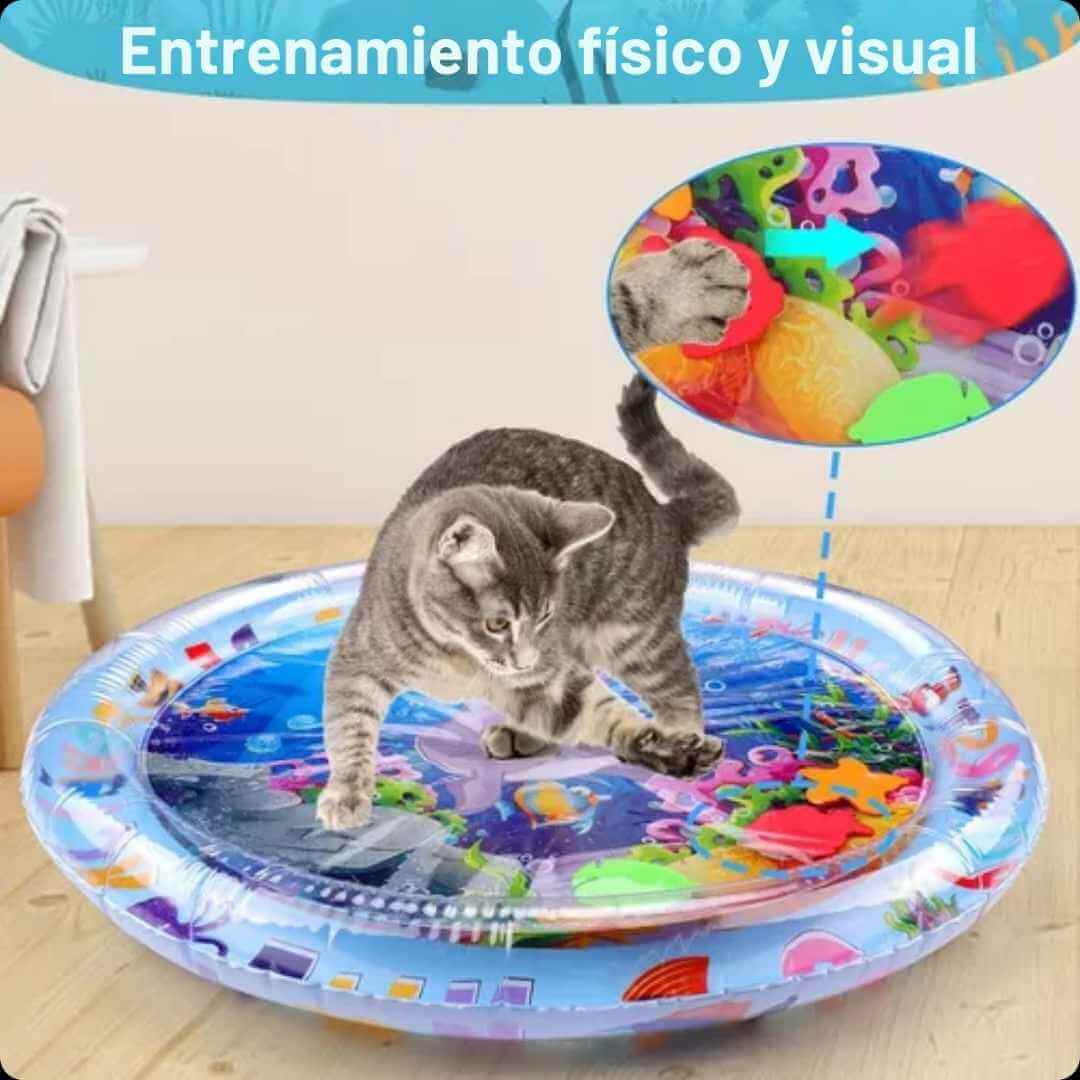 CatSplash Play Mat™ - Tapete 2 en 1: Diversión y descanso en uno 🎁