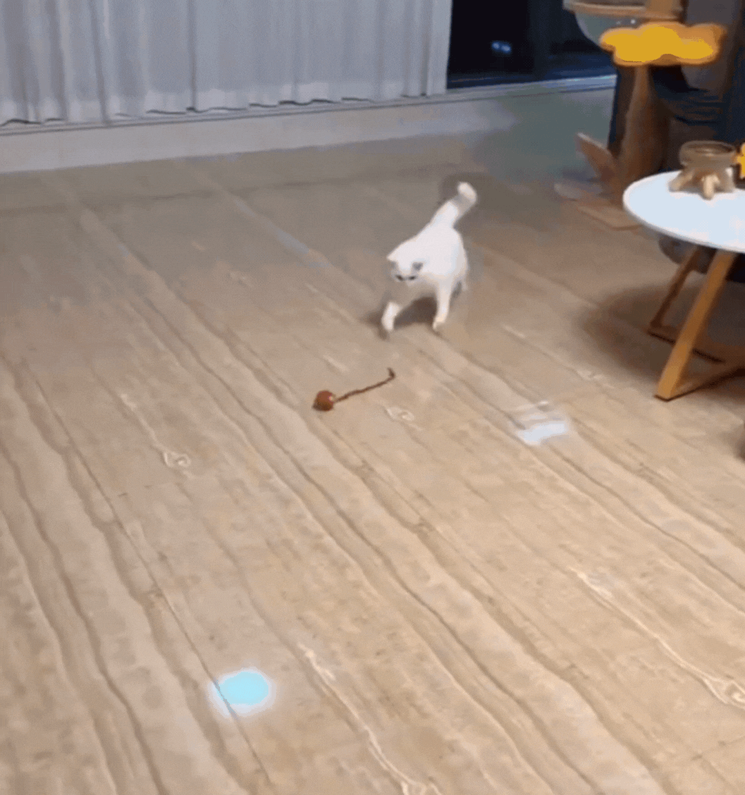 Juguete autopropulsado para gatos PurrChase™