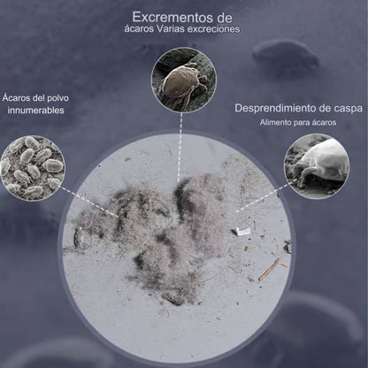 Aspiradora para eliminar ácaros del hogar