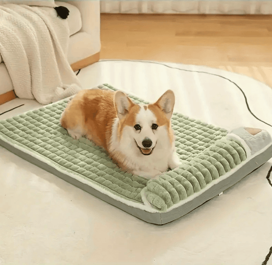 Cama Ortopedica Para Mascotas