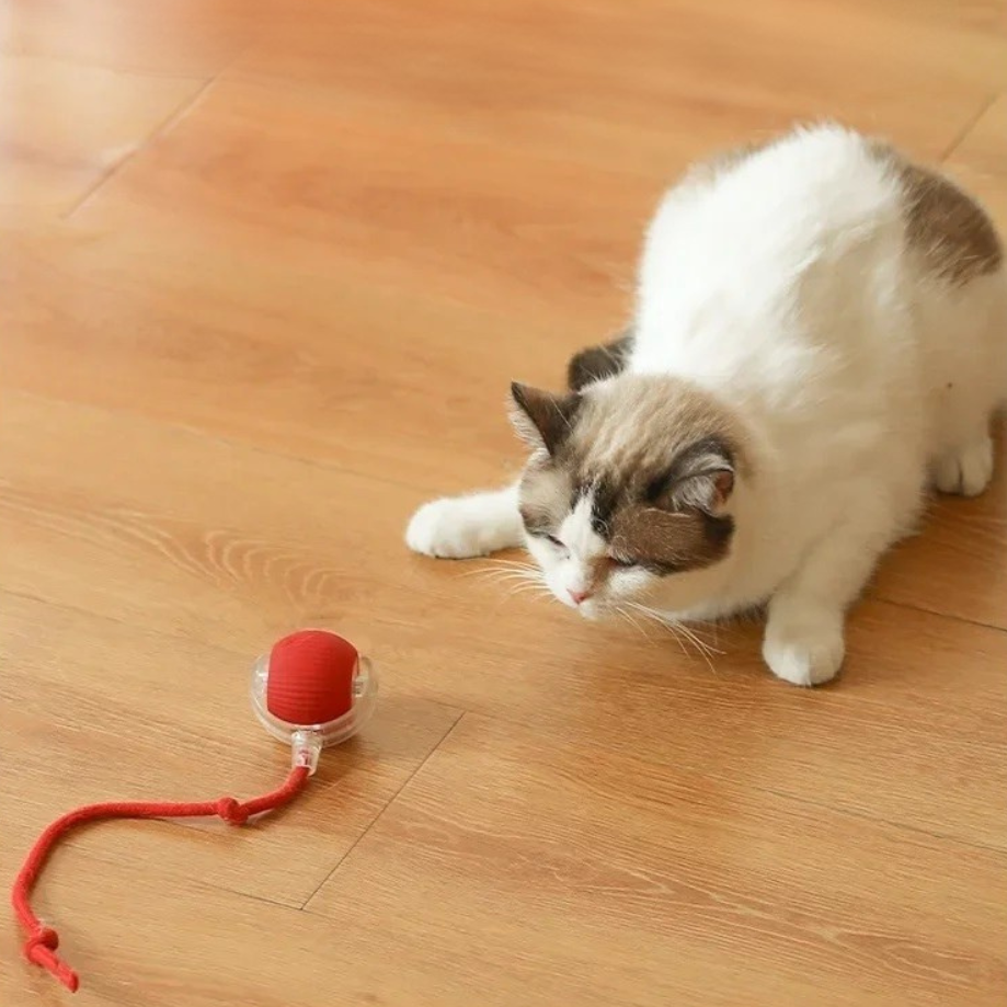 Juguete autopropulsado para gatos PurrChase™