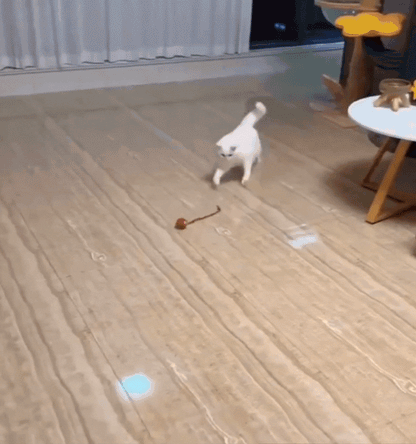 Juguete autopropulsado para gatos PurrChase™